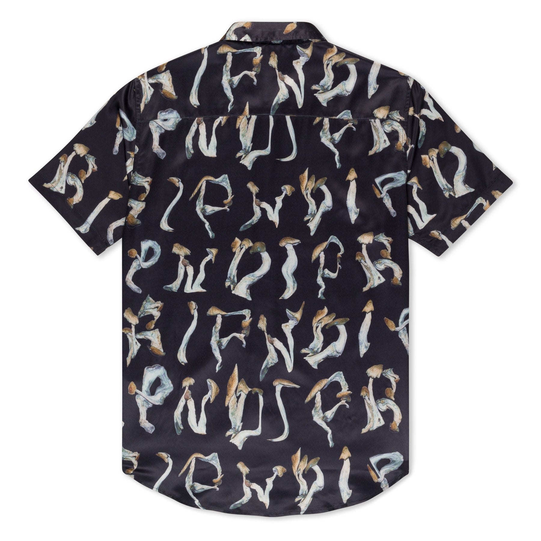IS THIS REAL LIFE BUTTON UP