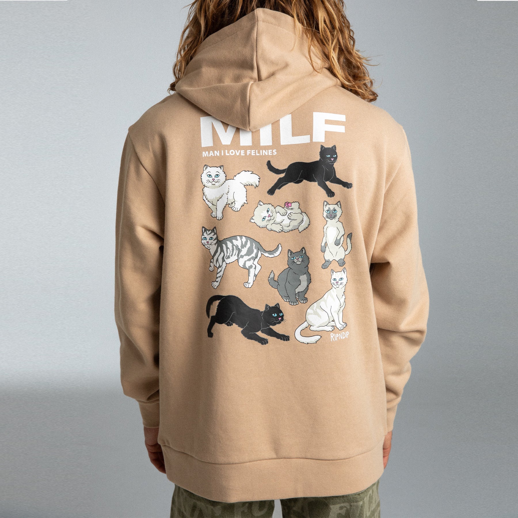 MAN I LOVE FELINES HOODIE