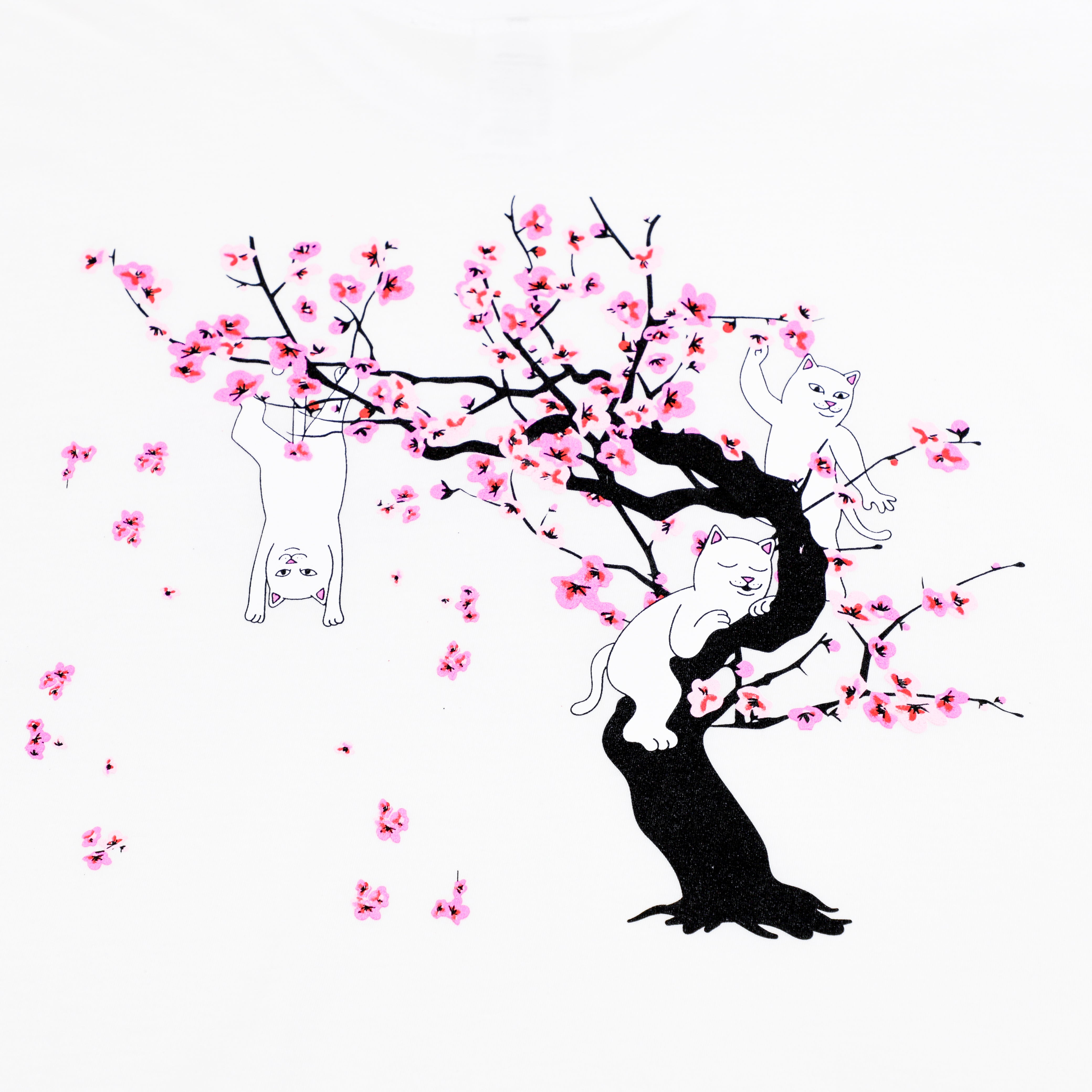 Cherry B Tee (White)