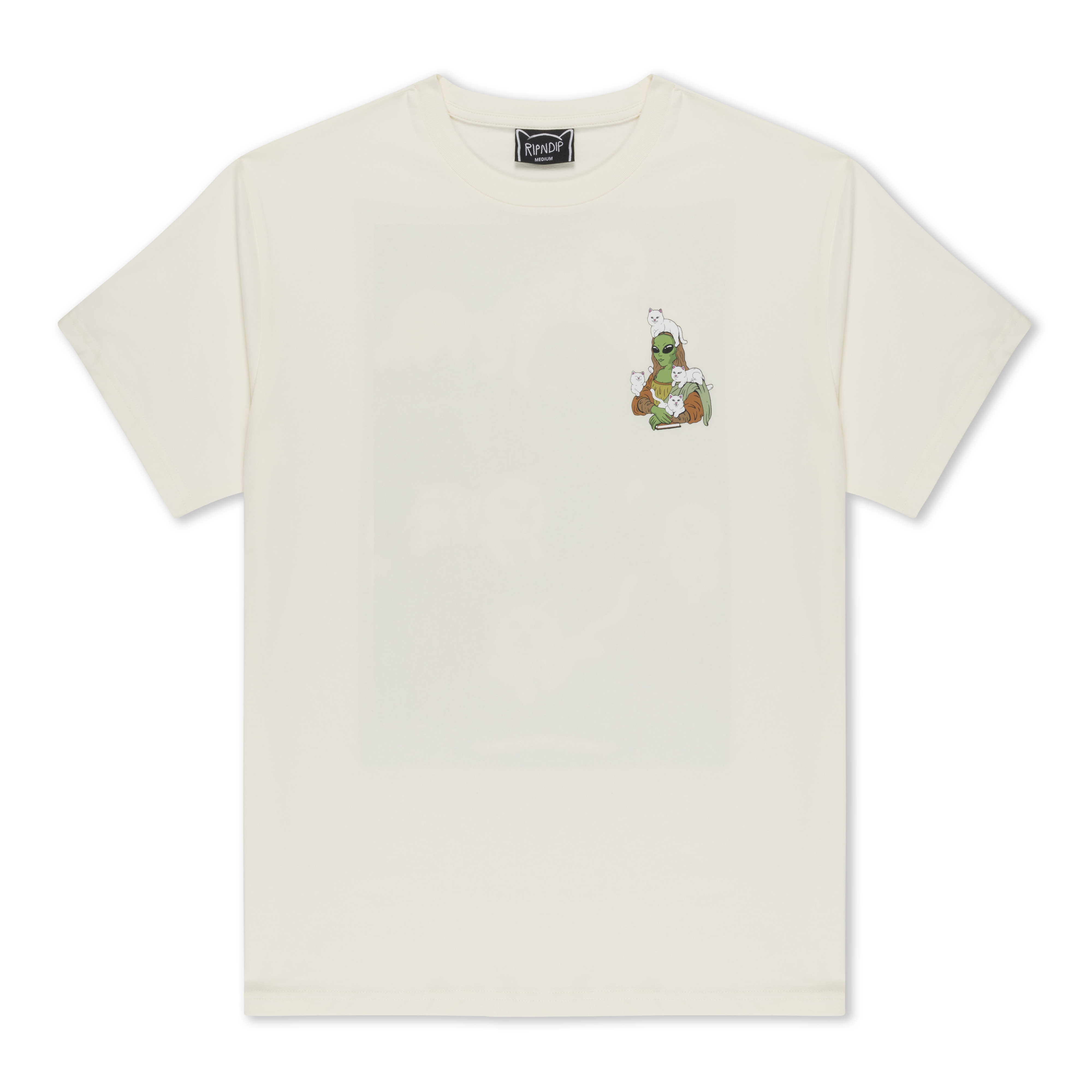 HERE ALL ALONG TEE (BONE)