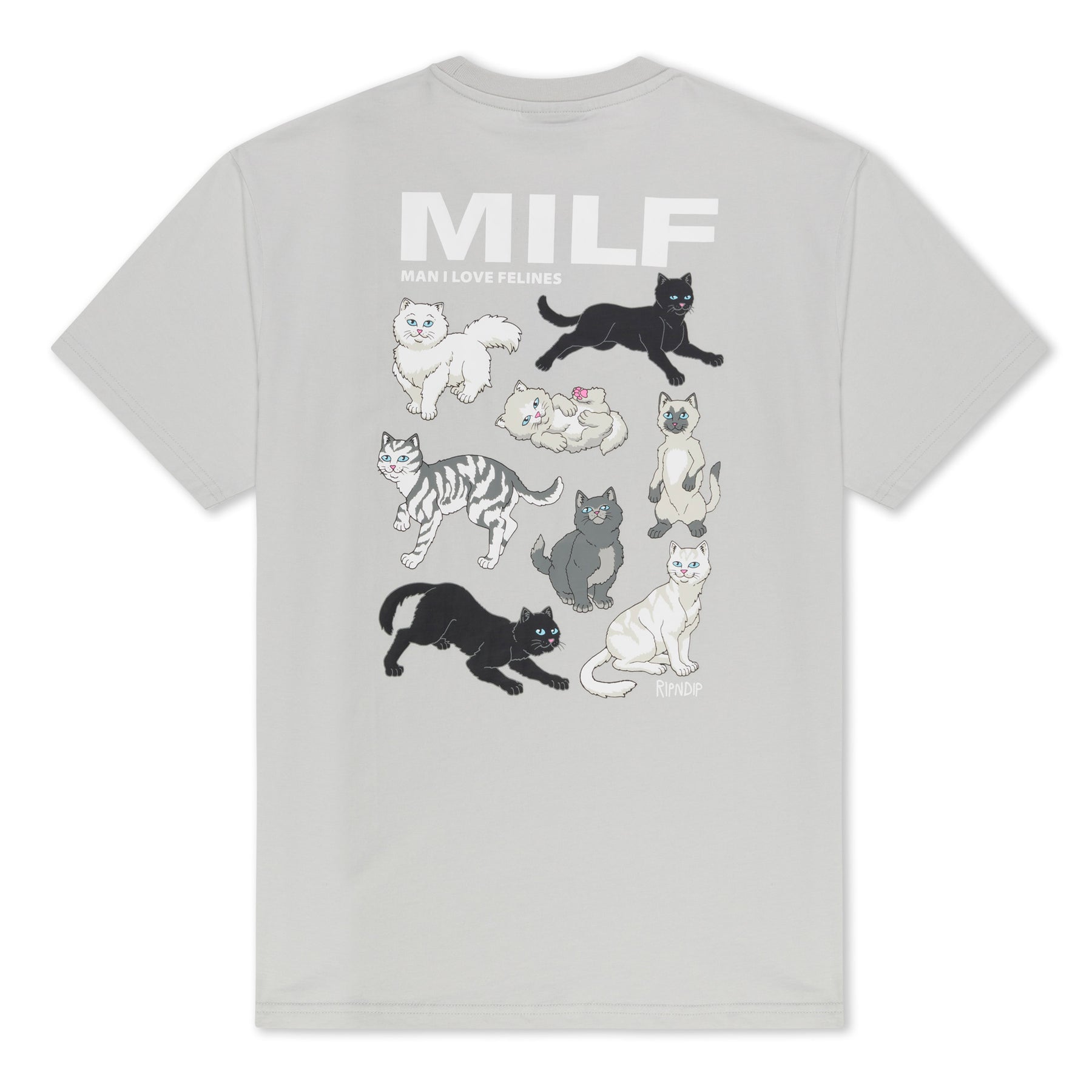 MAN I LOVE FELINES TEE