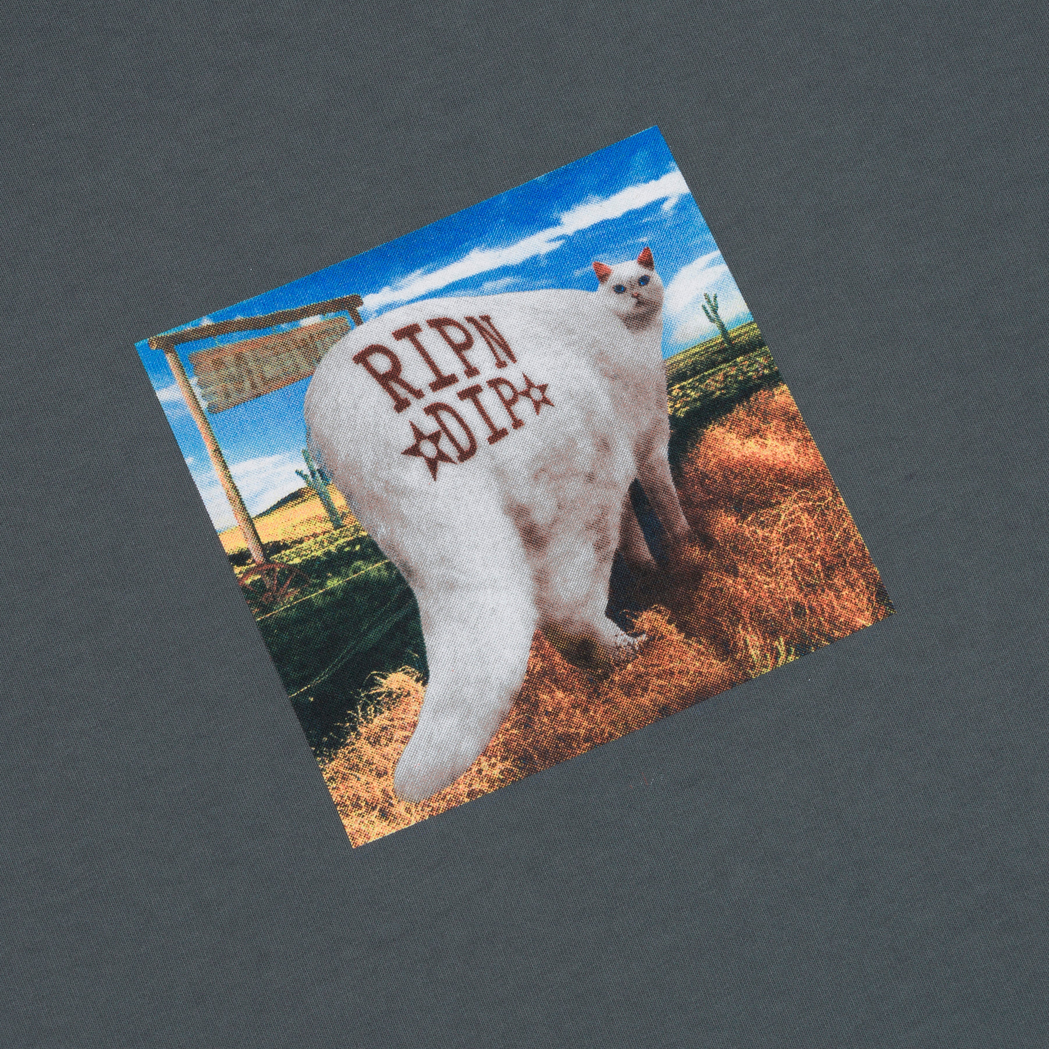 ROWDY HOWDY TEE