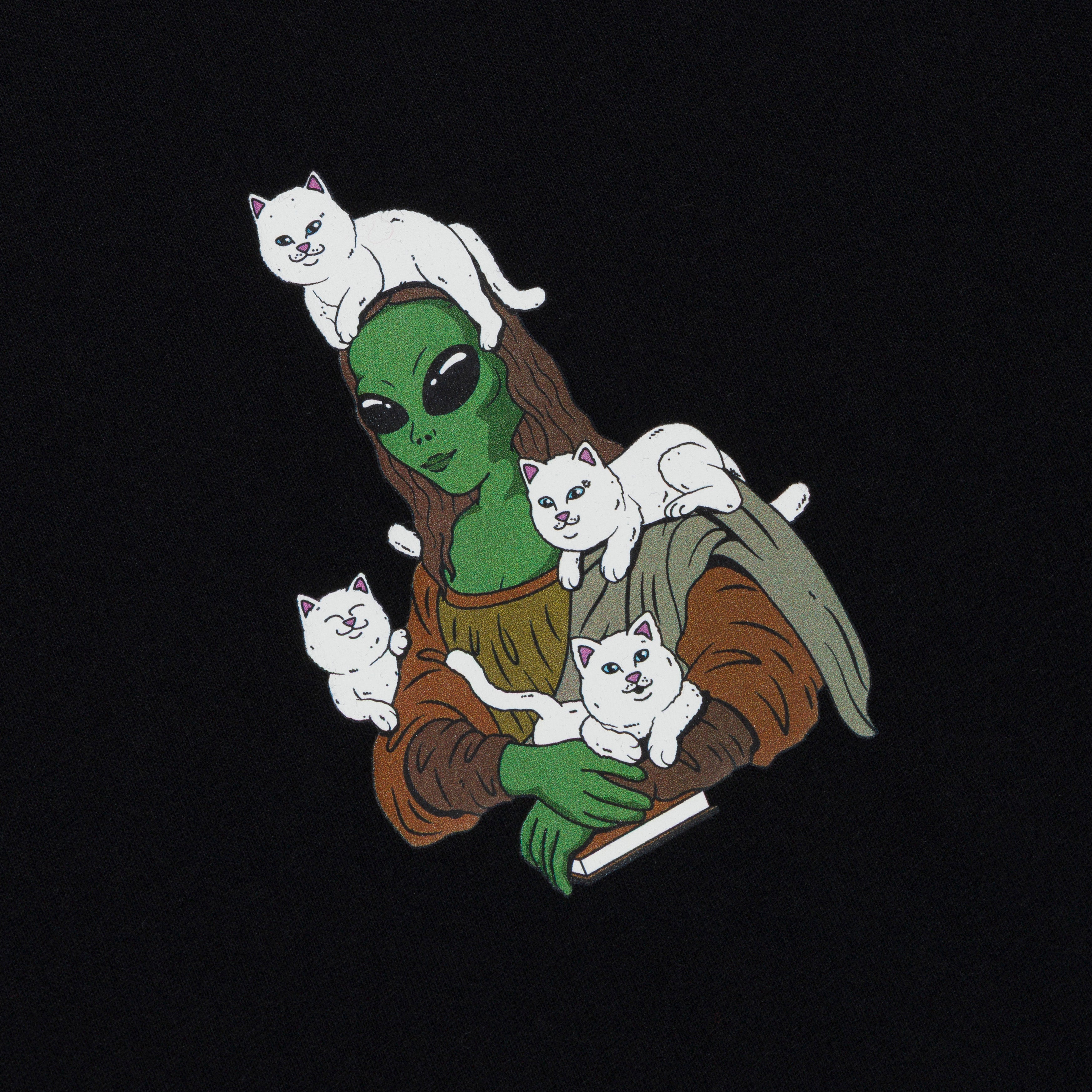 HERE ALL ALONG TEE