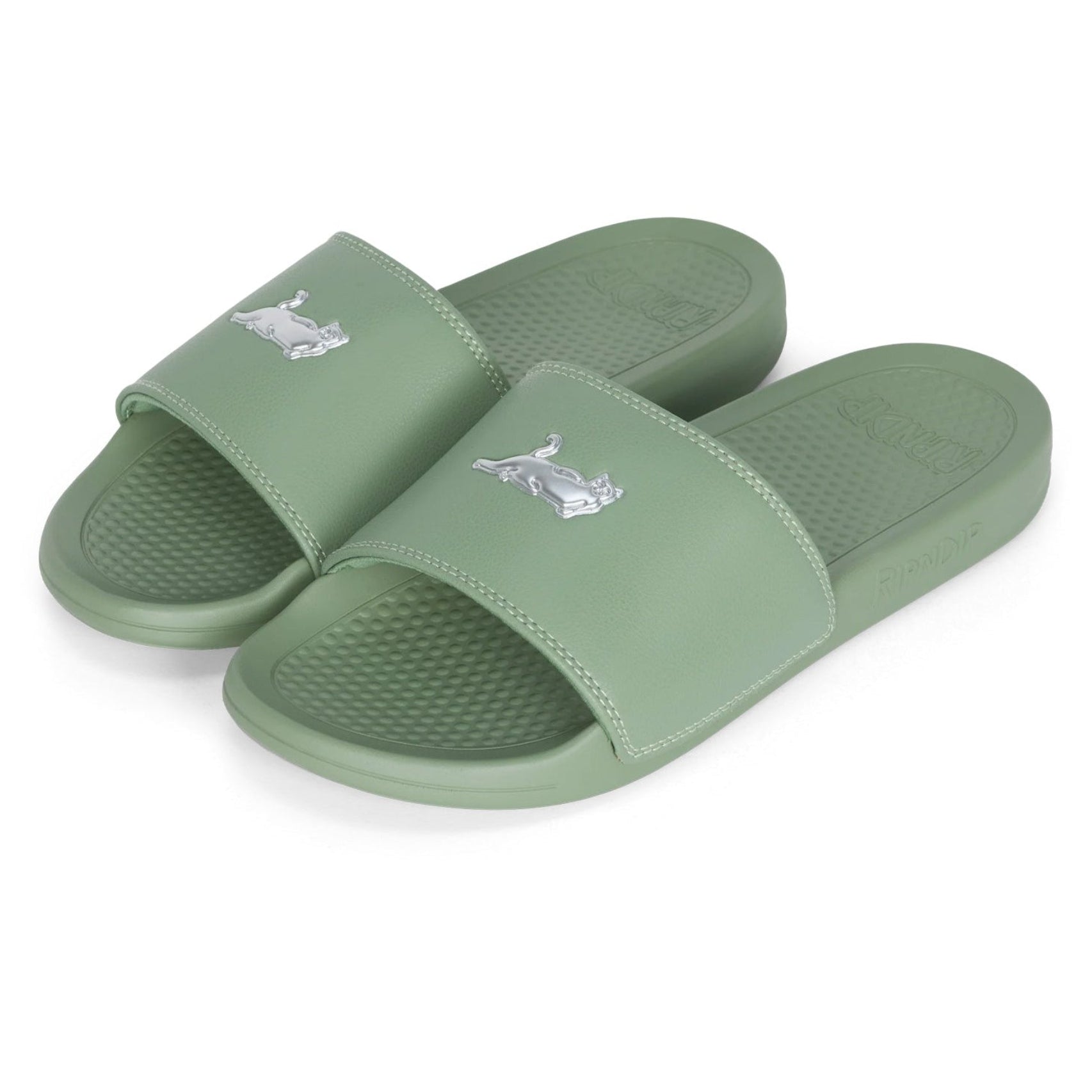 CASTANZA SLIDES