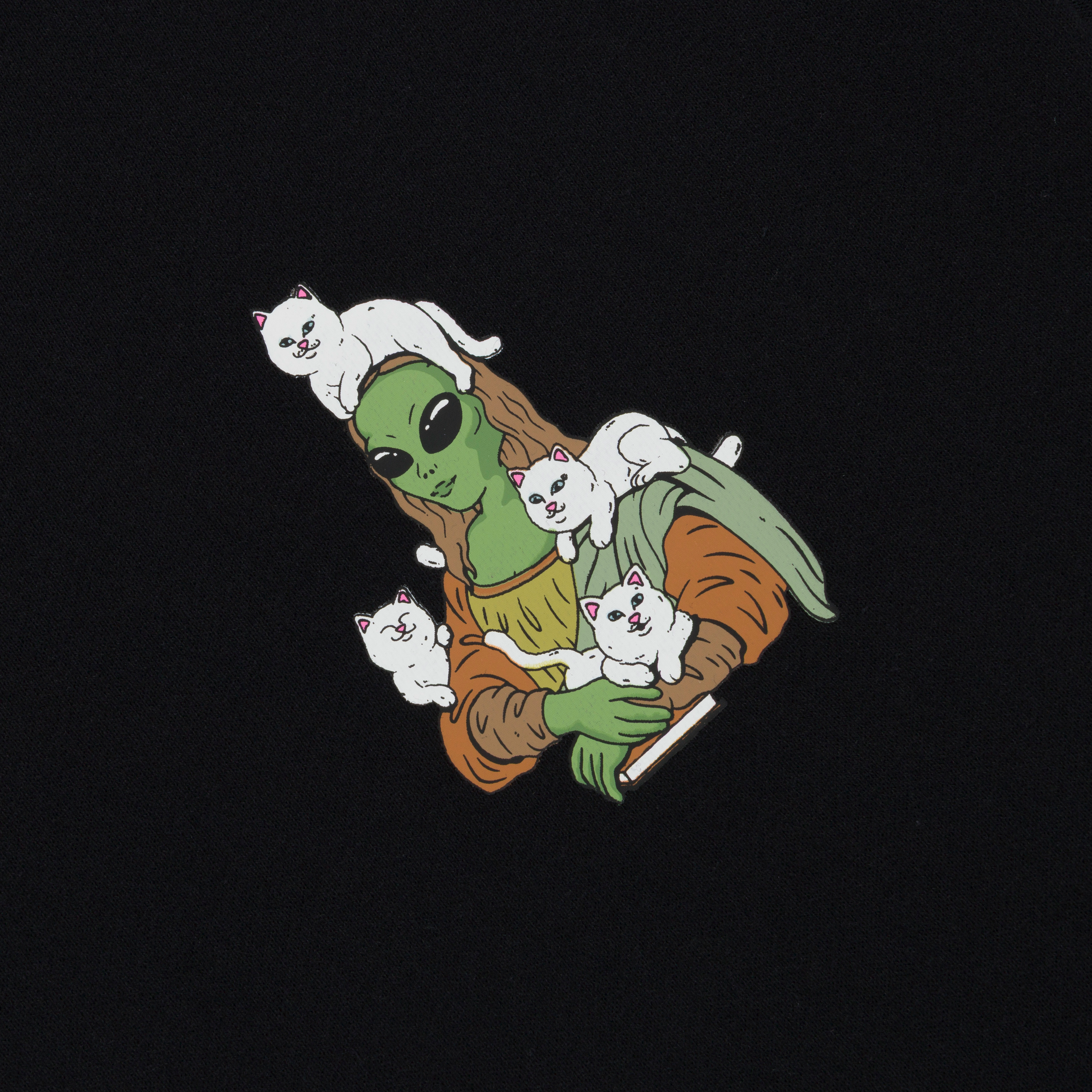 HERE ALL ALONG HOODIE
