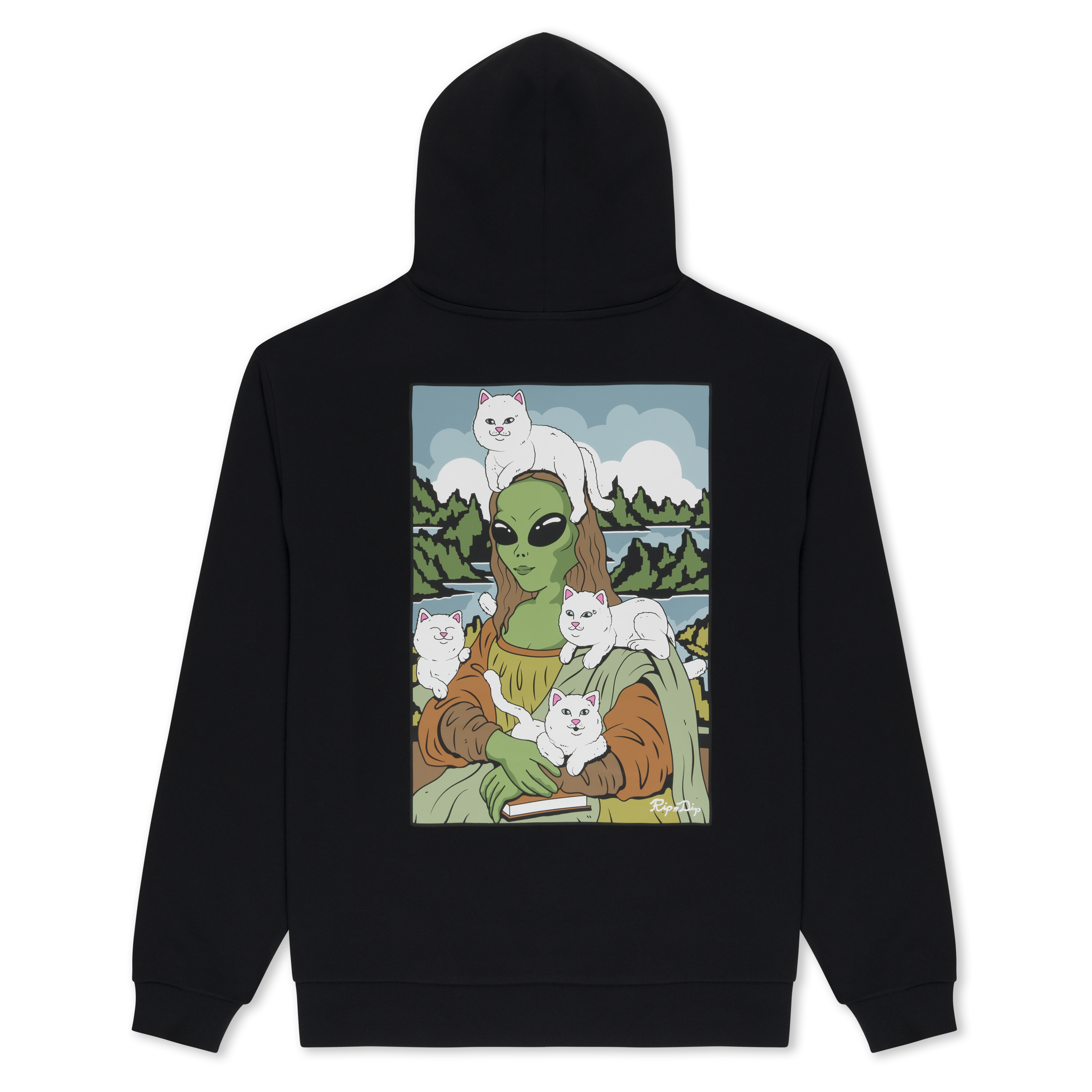 HERE ALL ALONG HOODIE