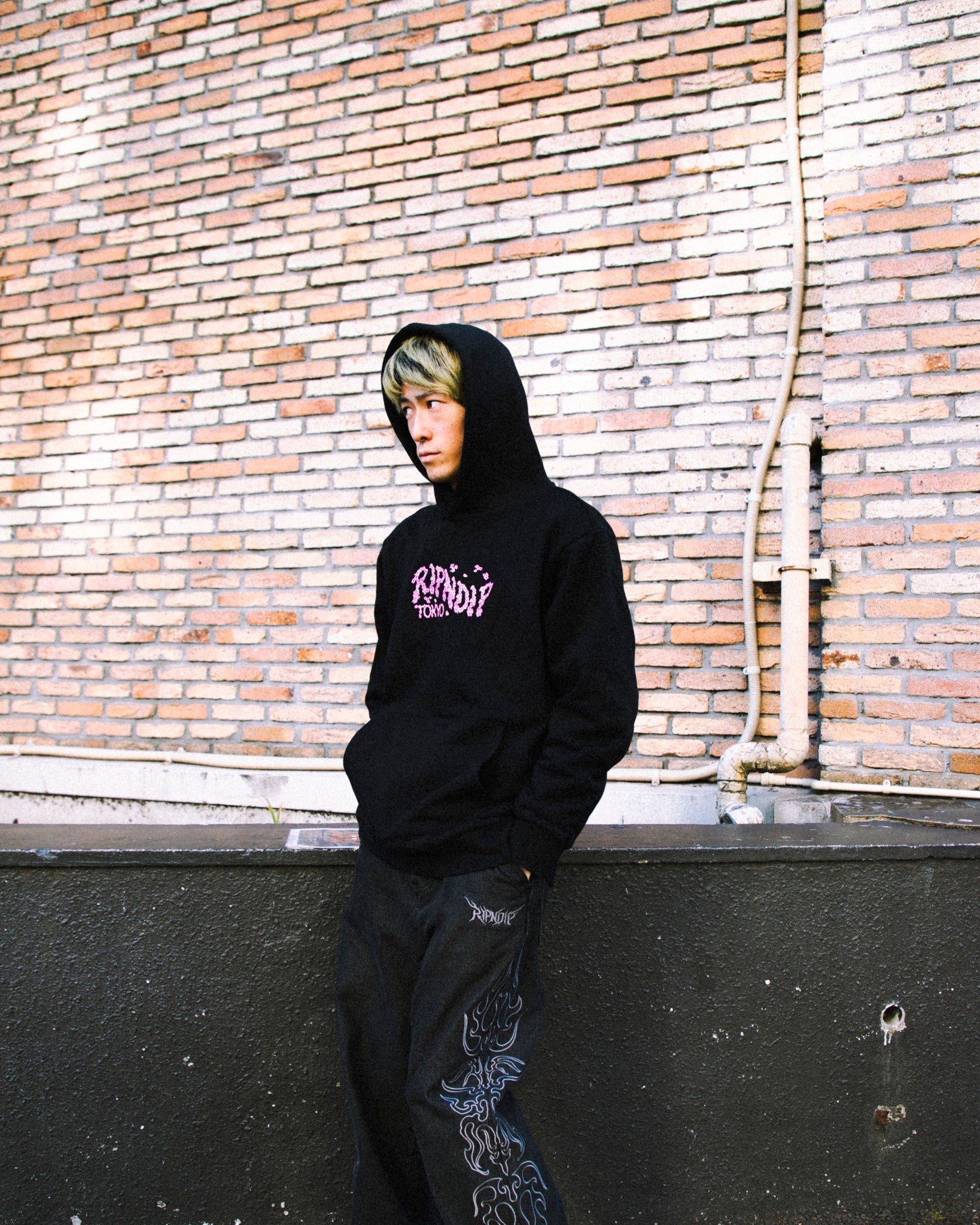 CHERRY BLOSSOM HOODIE (BLACK)