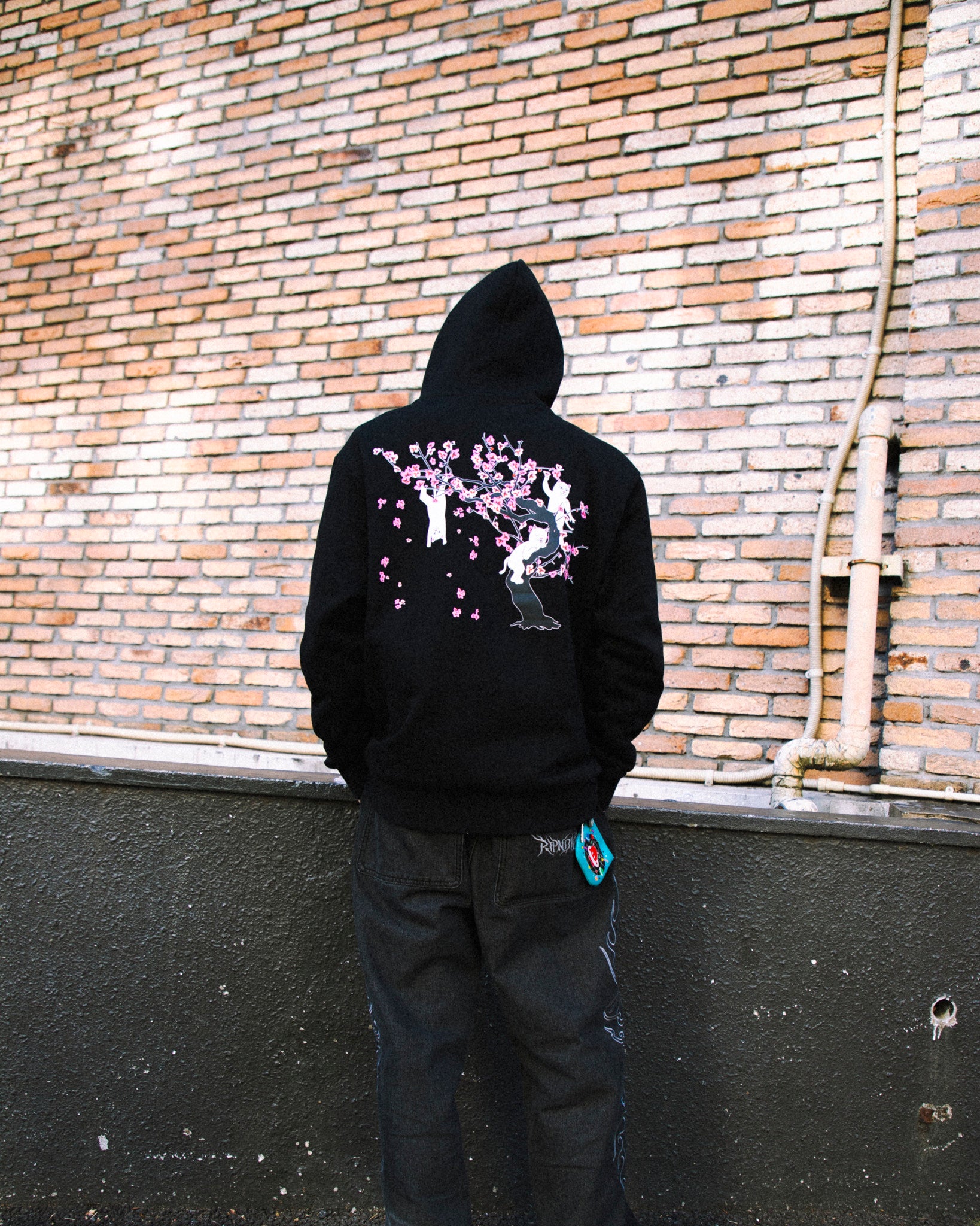 CHERRY BLOSSOM HOODIE (BLACK)