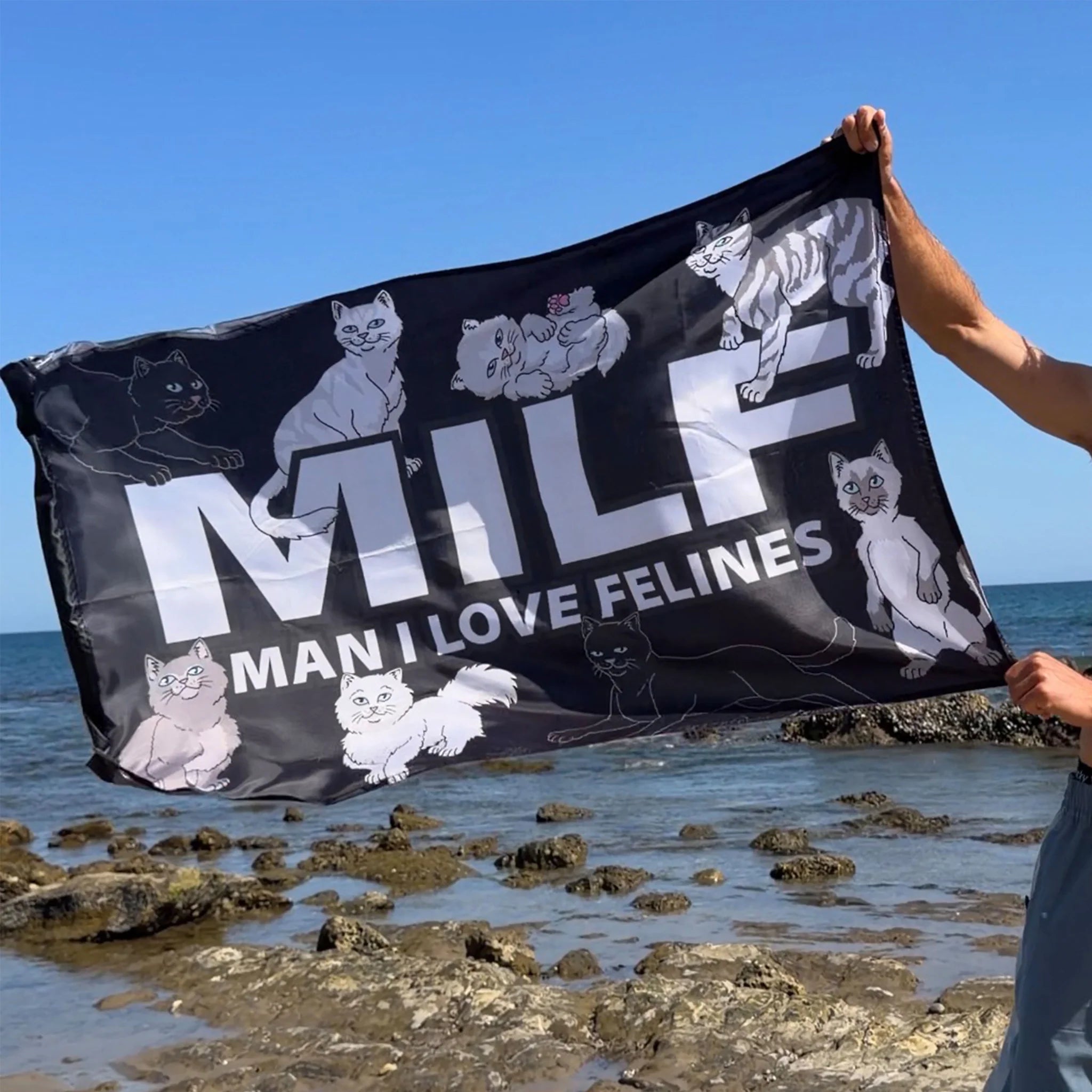 MAN I LOVE FELINES FLAG