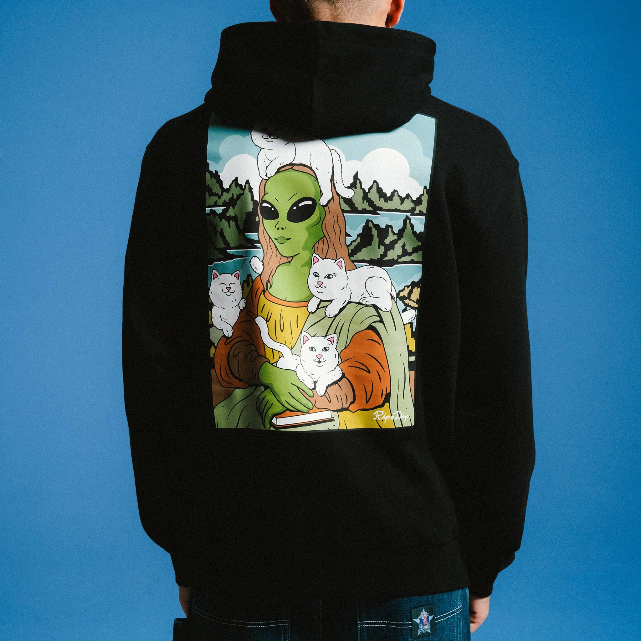 HERE ALL ALONG HOODIE