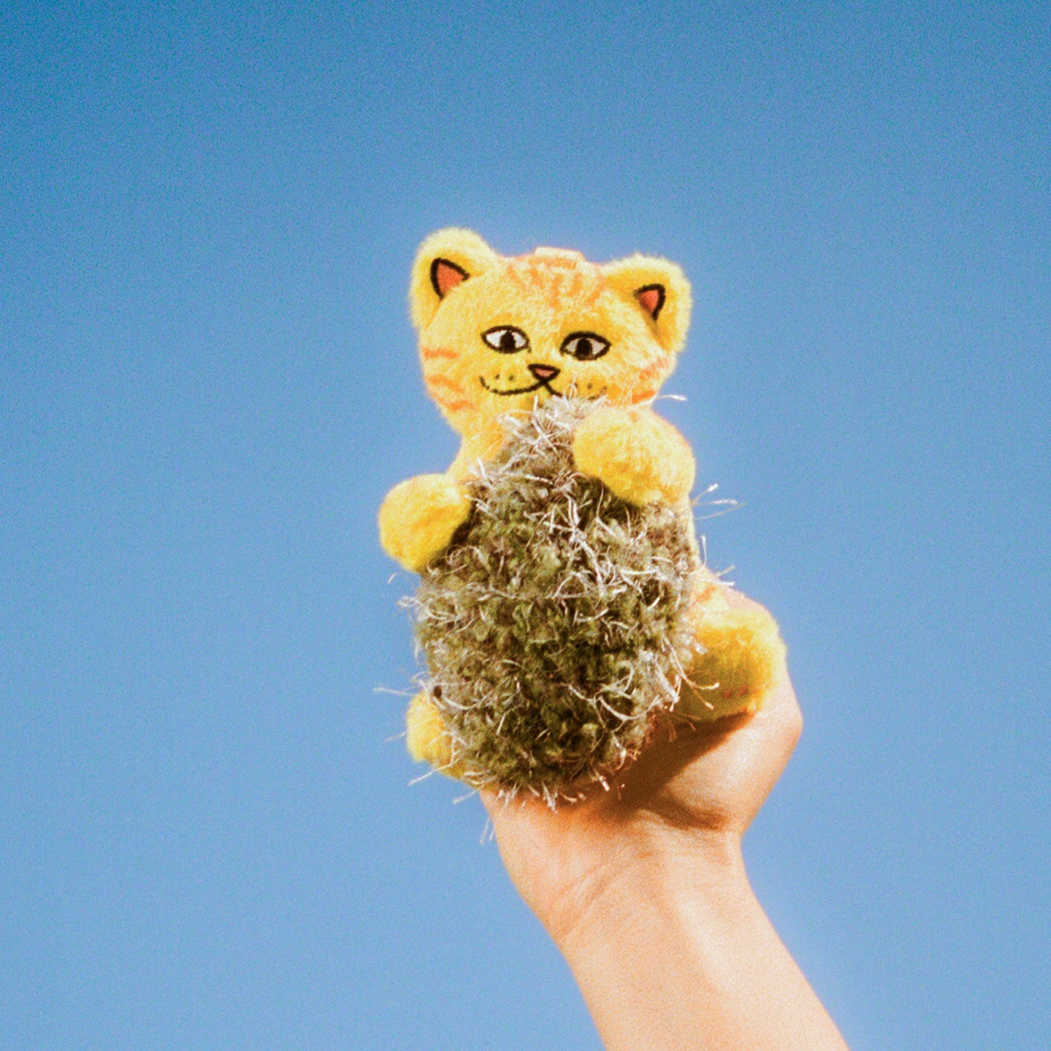 NERM NUGS MYSTERY BAG