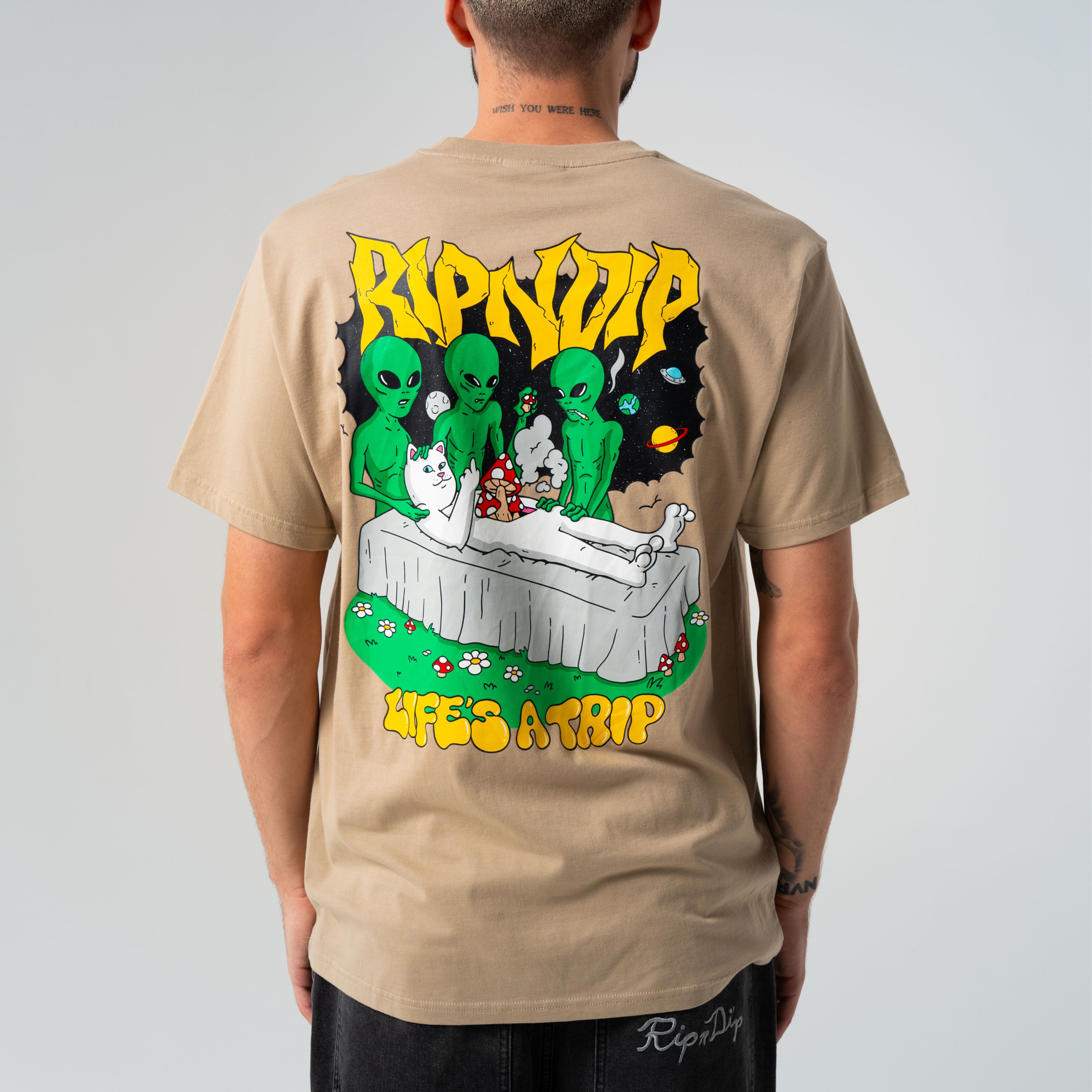 HARVEST TEE